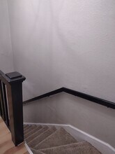 3219 E 5th Ave in Knoxville, TN - Building Photo - Building Photo