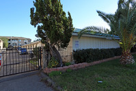 Cedar Garden Apartment in Escondido, CA - Foto de edificio - Building Photo