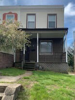 1323 Virginia Ave in Pittsburgh, PA - Building Photo