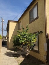 4081-4087 Farquhar Ave in Los Alamitos, CA - Building Photo - Building Photo