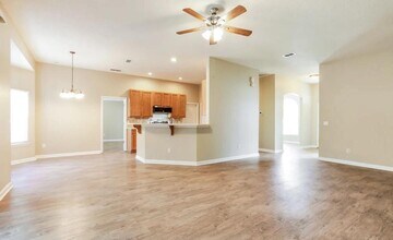 416 Sandringham Lp in Kyle, TX - Building Photo - Building Photo