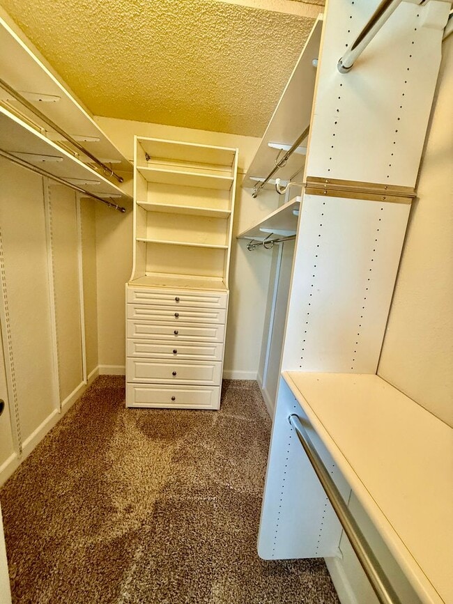 7032 Cloverleaf Way in Citrus Heights, CA - Building Photo - Building Photo