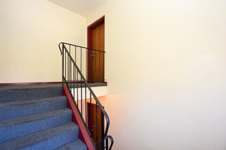 264 Canterbury Ln in Bolingbrook, IL - Foto de edificio - Building Photo