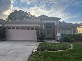 10132 Heather Sound Dr in Tampa, FL - Building Photo