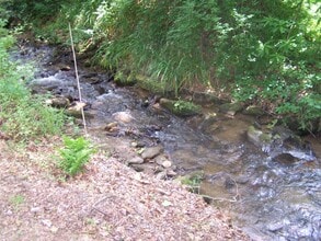 37 Shasta Dr in Sylva, NC - Building Photo - Building Photo