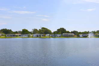 Lake Shore Villas in Tampa, FL - Building Photo - Building Photo