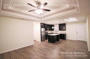 1413 Coyote Hls in Edinburg, TX - Building Photo