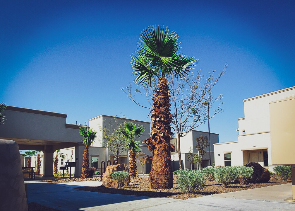 Alameda Palms in El Paso, TX - Foto de edificio