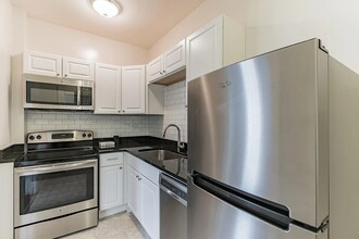 The Lorenzo in Tampa, FL - Building Photo - Building Photo