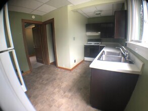 703 E Chippewa St-Unit -B in Mt. Pleasant, MI - Building Photo - Building Photo