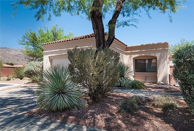 property at 5566 N Largo Papavero