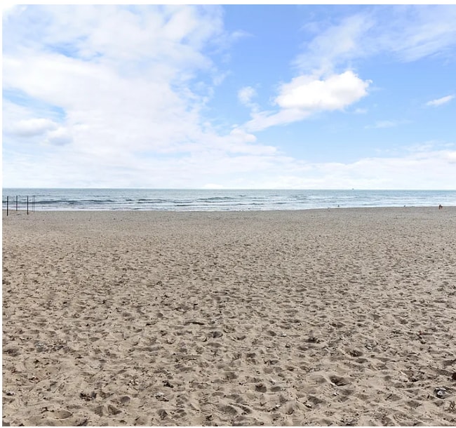 1127 W Farwell Ave, Unit apt 1a in Chicago, IL - Building Photo - Building Photo