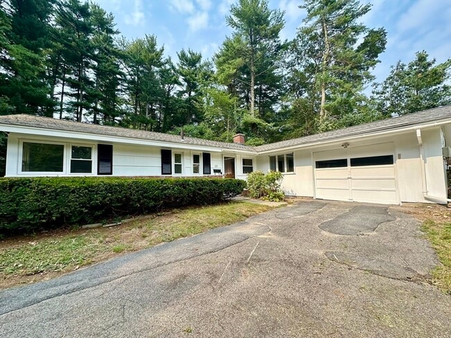 property at 19 Muriel Rd