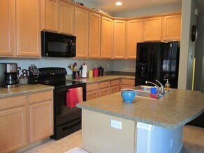 10829 Tincup Creek Point in Colorado Springs, CO - Building Photo - Building Photo