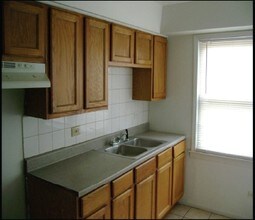 7901 S Paxton in Chicago, IL - Building Photo - Other