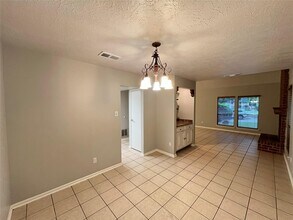 17 Briervine Ct in Spring, TX - Building Photo - Building Photo