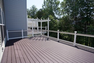 43321 Semolina Terrace in Chantilly, VA - Building Photo - Building Photo