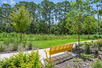 Arya at Windermere 55+ Active Adult Living in Ocoee, FL - Building Photo - Building Photo