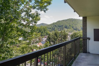 Baughman Towers Senior and/or Disability in Philippi, WV - Building Photo - Building Photo