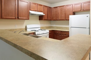 Forrest Pines Sr in Newport News, VA - Building Photo