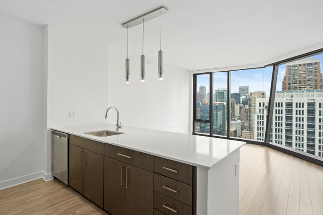 1325 S Michigan Ave in Chicago, IL - Building Photo - Building Photo