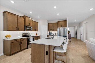 32516 Osprey Peak Wy in San Antonio, FL - Building Photo - Building Photo