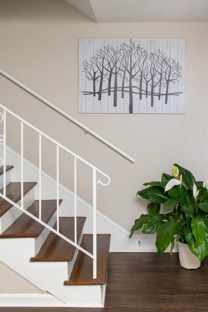 Ashby Gardens Apartments in Charlotte, NC