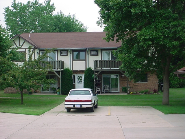 210 Mound St in Decorah, IA - Building Photo