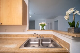 The Ashley in Immokalee, FL - Building Photo - Building Photo