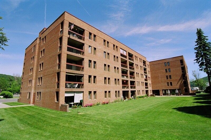 Village Square Apartments in Painted Post, NY - Building Photo