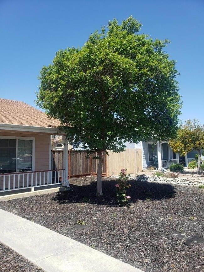 2380 Paradise Dr in Hollister, CA - Building Photo - Building Photo