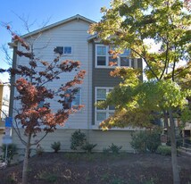 481 Tea Tree Ter in Sunnyvale, CA - Building Photo