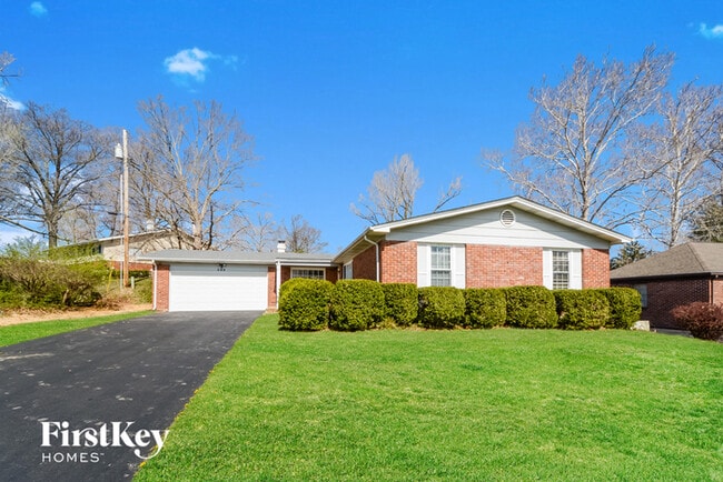 property at 249 Pine Tree Ln