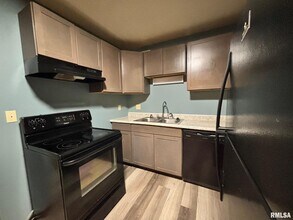 2070 W Washington St, Unit 5 in Springfield, IL - Building Photo - Building Photo