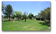 Sunny Acres RV Park in Las Cruces, NM - Building Photo - Other