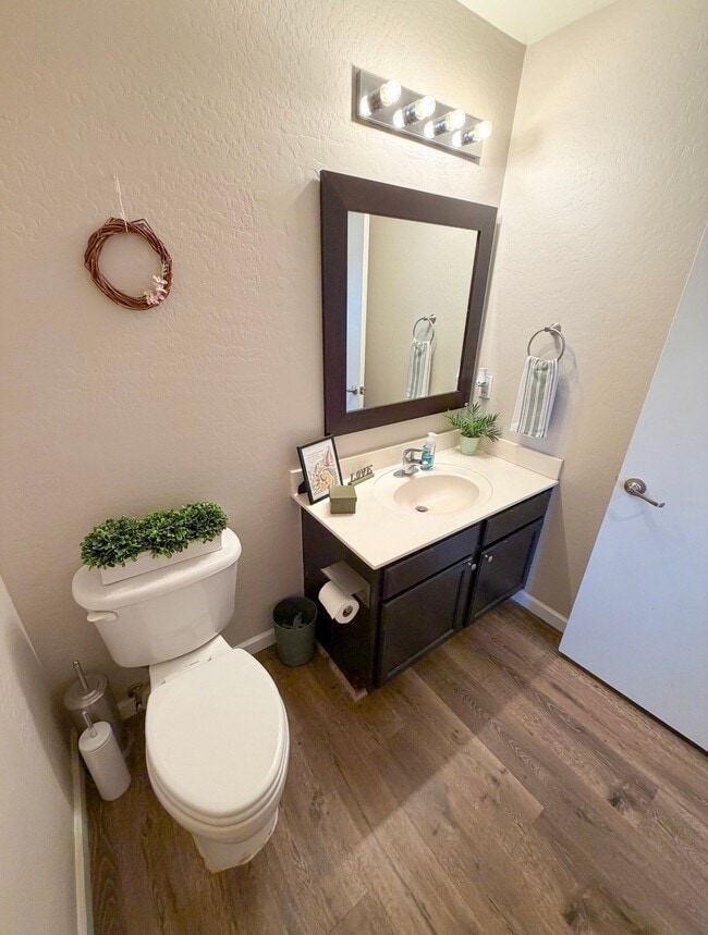 2719 W Angel Way in Queen Creek, AZ - Building Photo - Building Photo