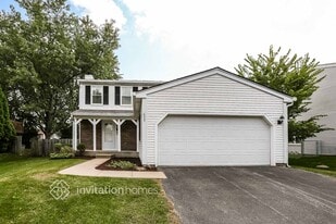 677 Shining Water Dr in Carol Stream, IL - Building Photo