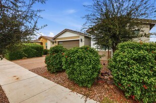 22568 E Rosa Rd in Queen Creek, AZ - Building Photo