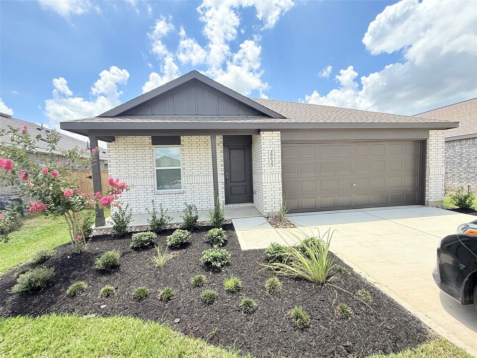 29035 Great Flatland Trl in Hockley, TX - Building Photo