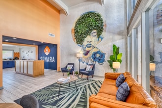 Senara Apartments in Phoenix, AZ - Building Photo - Building Photo