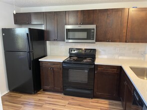 307 Lake Placid Ct in Oldsmar, FL - Building Photo - Building Photo