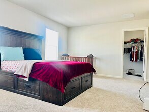 246 White Cedar Dr in Dawsonville, GA - Building Photo - Building Photo