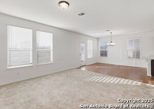 245 Blacktail Dr in New Braunfels, TX - Building Photo - Building Photo