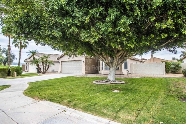 1944 W Canyon Way in Chandler, AZ - Building Photo - Building Photo