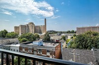 105 Morris Apartments in Albany, NY - Building Photo - Building Photo