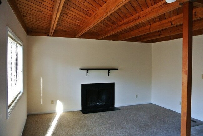 216 Greene St in Chapel Hill, NC - Building Photo - Building Photo