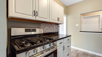 1207 W GRAY in Houston, TX - Building Photo