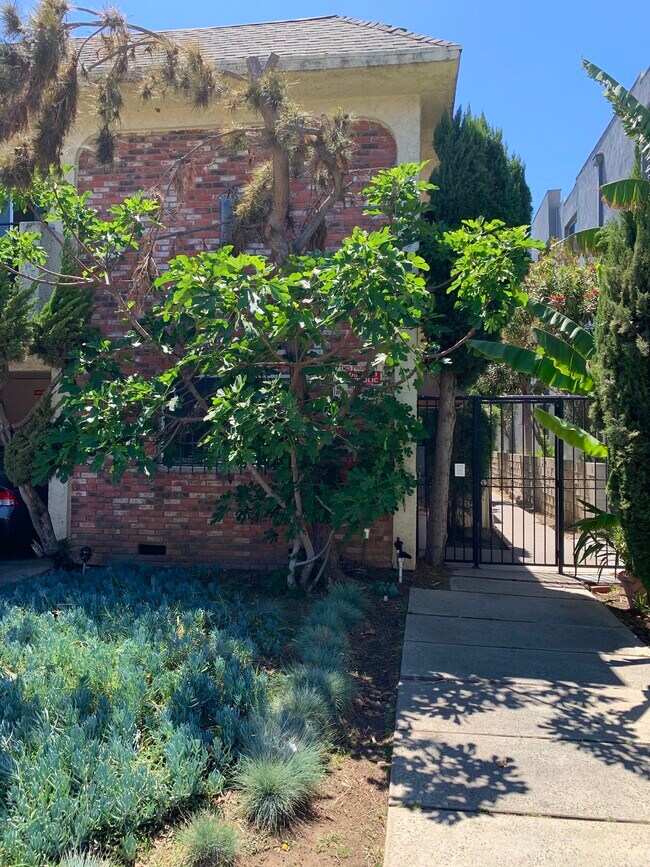 3731 Jasmine Ave in Los Angeles, CA - Building Photo - Building Photo