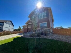 1584 Harpendon Ct in Windsor, CO - Building Photo - Building Photo