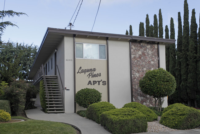 Laguna Pines in Castro Valley, CA - Building Photo - Building Photo